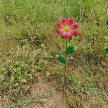 �羳�Fˇ������5ɫ����ͥԺ�[�С����@ˇ��@����Ʒ���滨��