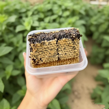 �����и���b�ϳ����G�l���۴���ϳ����и����l��������