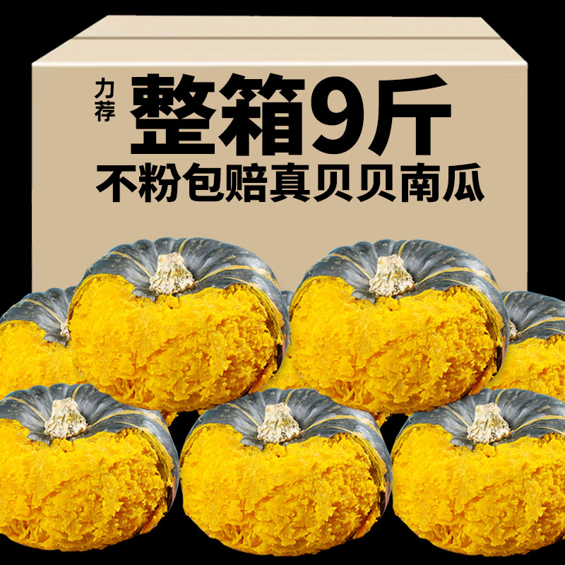 贝贝南瓜正宗新鲜板栗味小南瓜栗面日本老瓜婴儿孕妇粉糯整箱