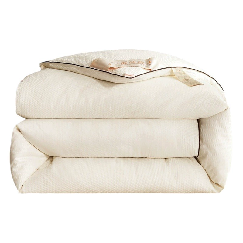 Дуду был пером, а один студент был одет четырехсезонным стеганым одеялом с толстым стеганым одеялом