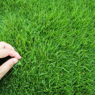 �׷Nֲ�@ˇ������Ľ����� 328�ݷN�� �e�����@����ݷN���ò���