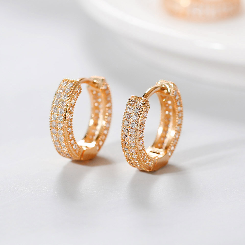 Fashion Circle Copper Inlay Zircon Earrings 1 Pair display picture 6