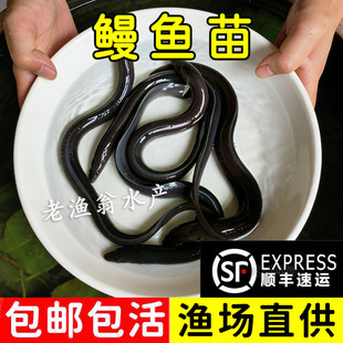 ���~�絭ˮ�����~����X�~���B�~����������~�����������~ʳ��