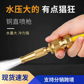 铜喷枪套装洗车水枪水管软管高压强力洗车神器汽车水枪头家用工具