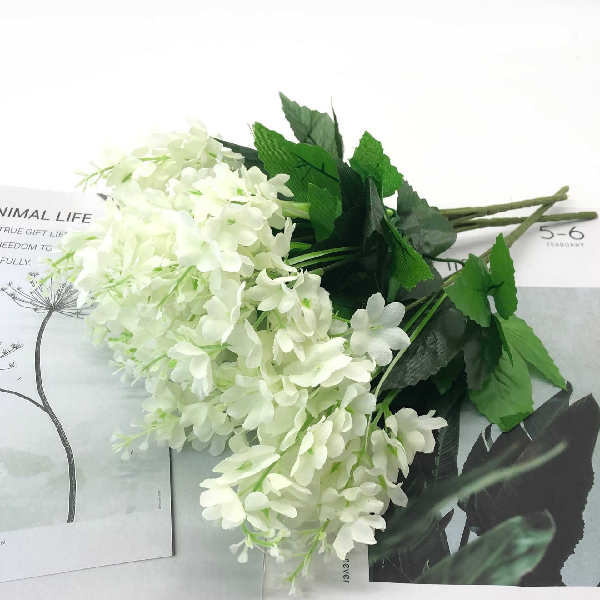 e9bba633779f36db6cb5ccdb75ef38