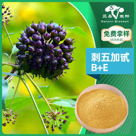 刺五加甙B+E1.2%刺五加皮提取物粉末SiberianGinseng刺五加粉原料