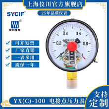 �Ϻ��x��YXC-100����ʽ늽��c������ YX-100 220/380 �����޿���