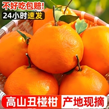 �ָ�5��9�����rˮ�����䮔���������Ӹ��ٽ��ӽ���ɰ���ָ�