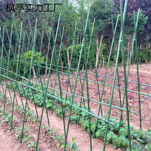 ���Ǽ��S�ϼ��ļ�������֧�μܲˈ@�˼��ӷN�˷Nֲ�߲˼ܗU��֧��