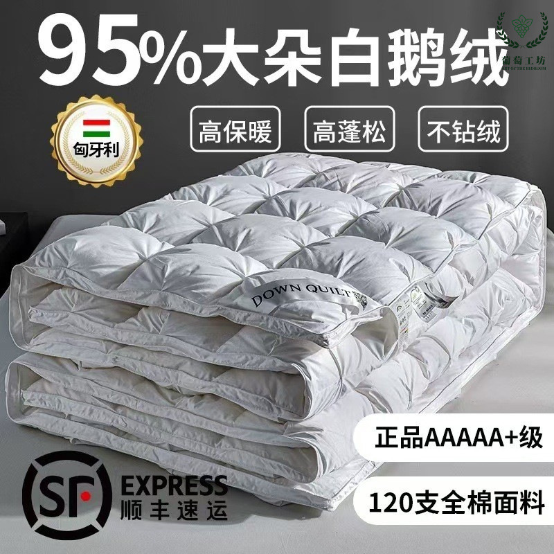 Hungarian down Quilt Genuine A-Grade 95% White Goose down Quilt Core Pure Cotton Winter Quilt Goose down Quilt White Goose down Soft Silk Quilt