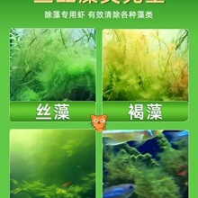 �ښ��r�����r��ˮ�r���^�p�r�坍�~�ͻ���B�Ꭷ�^�p�~����ˮ���r