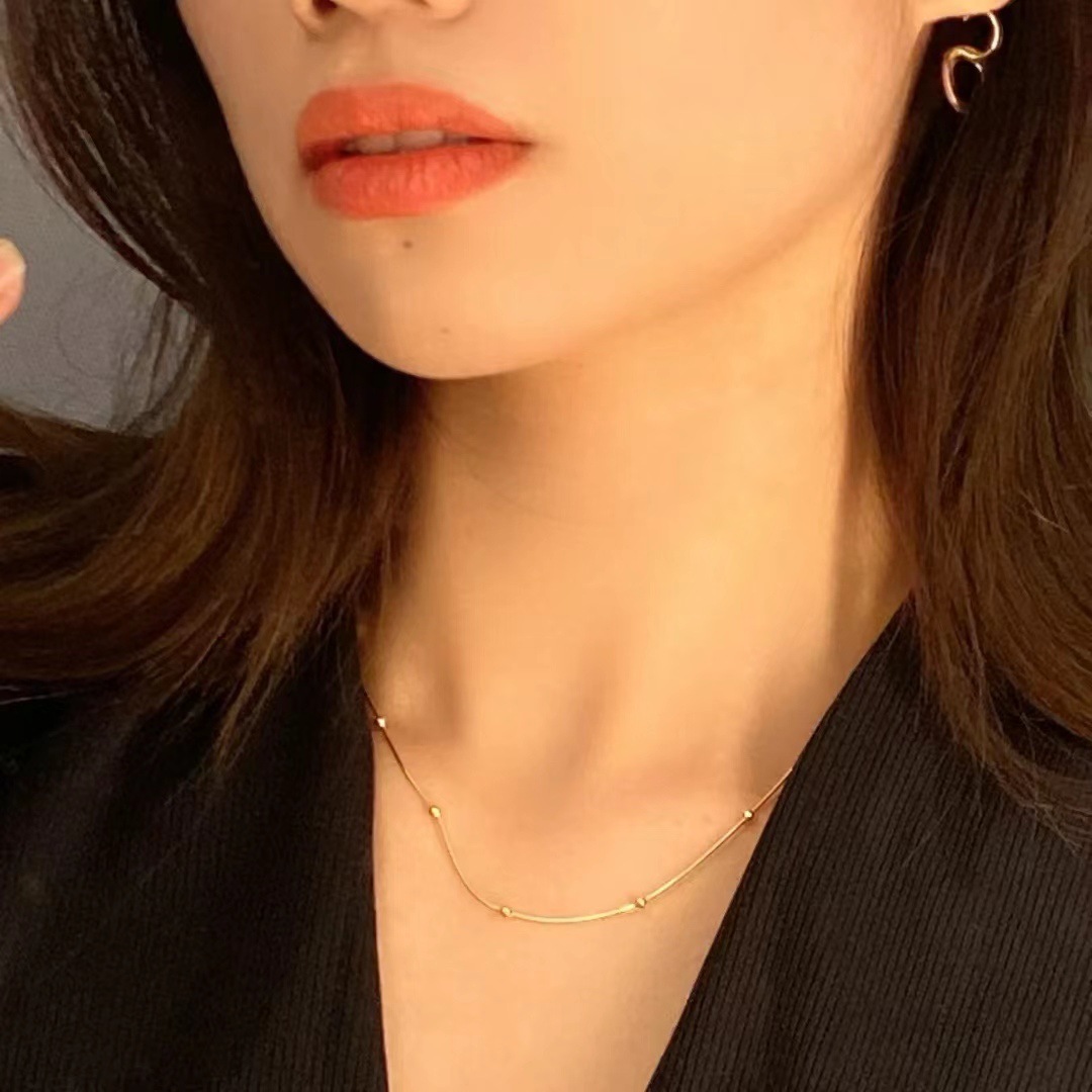 Titanium Steel Round Snake Bone Necklace Simple Unisex Chain_voghion.com