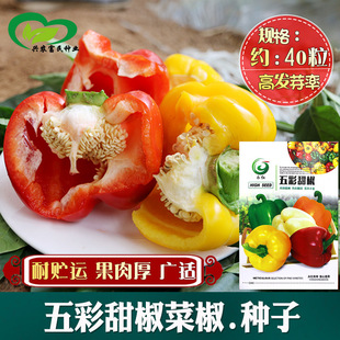 ���t����𽷲ʽ��N�� �r��˵��r���Nֲ���A��������ӽ���