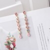 South Korean multicoloured goods, crystal earings, fresh long fashionable earrings