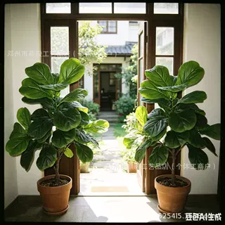 仿真绿植琴叶榕棕榈树散尾葵民宿酒店餐厅落地装饰假海葵PVC塑料
