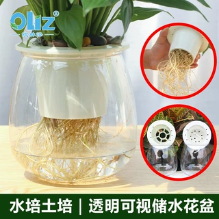 跨境欧林泽透明懒人花盆家用自吸水花盆简约全透明摔不烂水培花盆