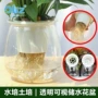 跨境家用不烂全透明花盆