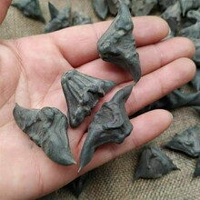 ��Ҋ�� 1������ș�����l ��ǚ�  �����