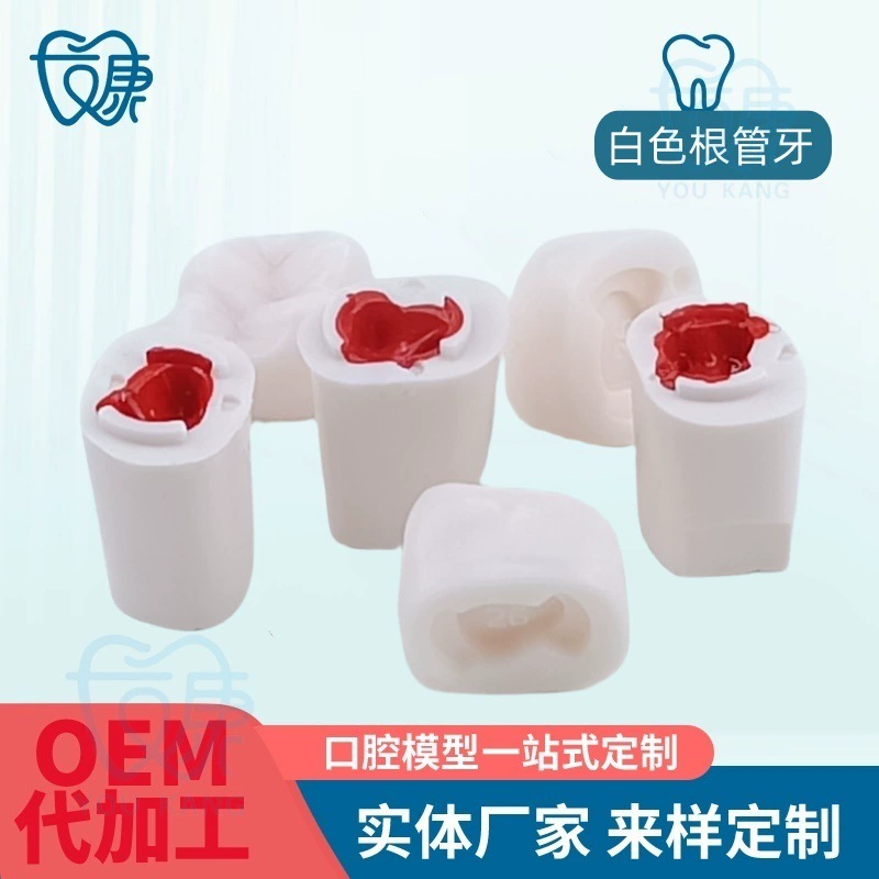 Белый открытый зуб, белый зуб, белый корневой зуб, устный экзамен