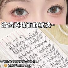 ����ʽ�Ͻ�ë���伃��ϵ��������Ȼ�����`�Ӽٽ�ë�՚��б�w���z