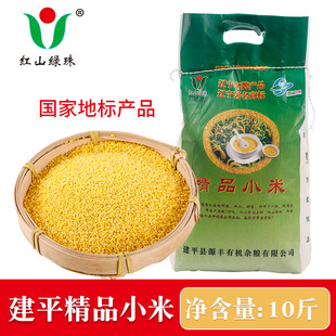 �tɽ�G���SС��10���b���lɢ�b�|�������С���r������s�Z������