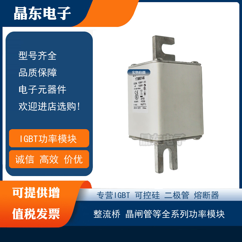 170M5014 170M5015 170M5016 170M5017 170M5018现货全新熔断器