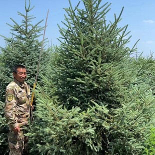 �|���ɼ���� ��Ǥ�ɼ �tƤ�ɼ �ļ��L����ڷ�M �@�־G����