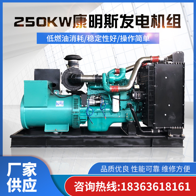 250KW发电机康明斯柴油发电机组三相发电机学校医院发电机组