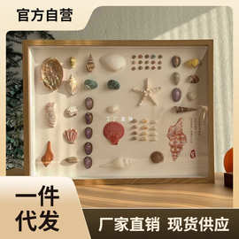 H4KE贝壳标本标本立体相框天然海螺装裱展示摆台咖啡厅挂墙装饰画