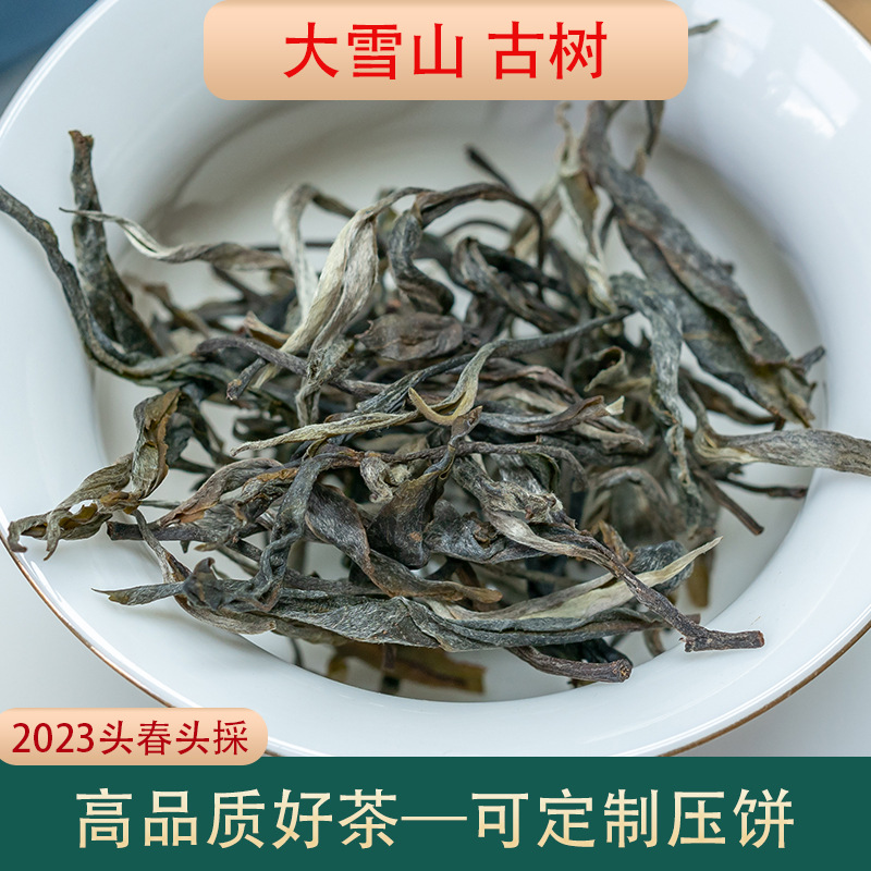 勐库大雪山 普洱生茶 散茶500g/份 2023春茶 云南古树晒青散茶叶