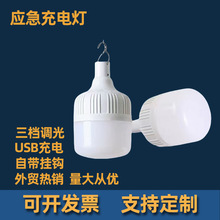 LED充电灯露营 摆摊户外照明电瓶充电照明球泡灯