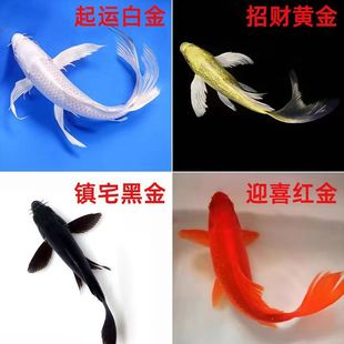 �Lβ���P�\���~���䵭ˮ�~�^�pС�~���~���~�~�����l�����ͻ���B