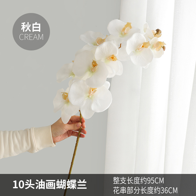 가을 화이트 크림