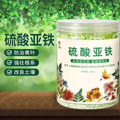 硫酸第一鉄酸植物水溶性肥料硫酸第一鉄花肥料大バレル包装クチナシジャスミン鉄木