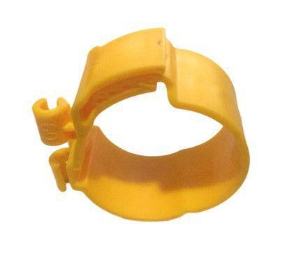 인기 60 노란색 파이프 카드 3.8cm/600개