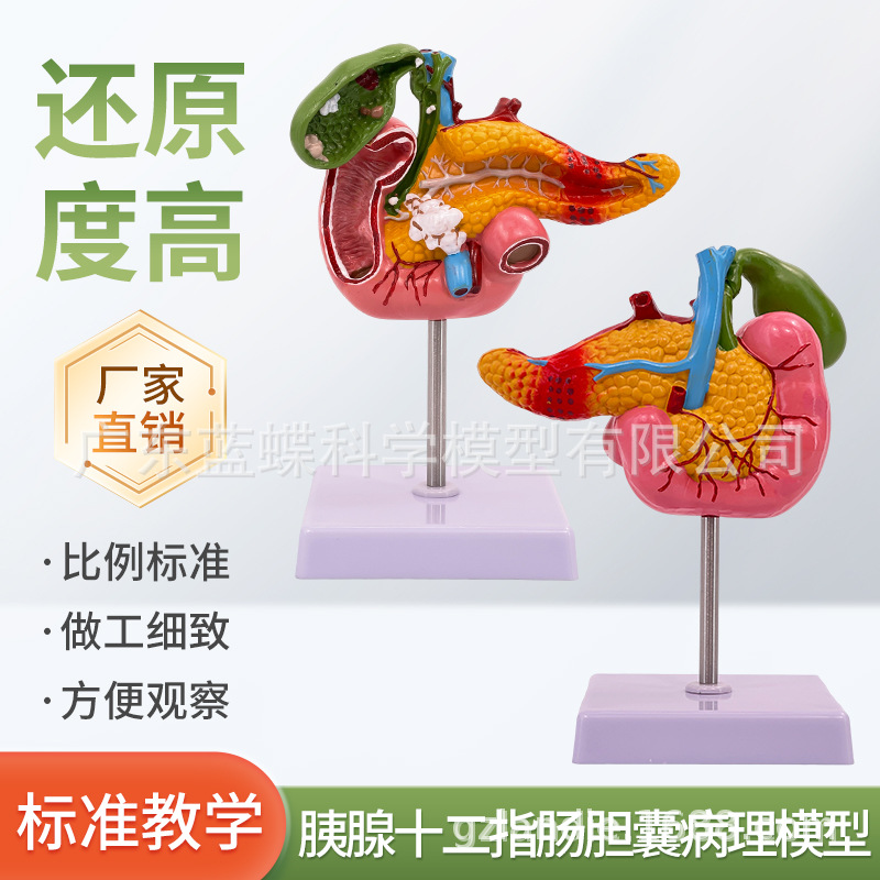 ��ѧ������������ʮ��ָ�����Ҳ���ģ�� ����ʯ�������ϵͳ�̾�