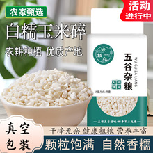 真空包装白糯玉米碎新货糯玉米大碴子白粘碴子珍珠糯玉米杂粮煮粥