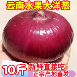 �����Ƥˮ�����[���r���l��ζ����10������߲�ë�[�A�[�����[
