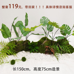 亀の背の葉の柔らかいゴムの百合の葉をシミュレーションして、植物の鉢植えの北欧風の緑を植えて鳥の巣のシダを植えて緑を植えて景を作ります。