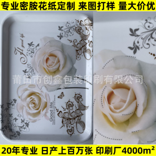 Design and processing of melamine paper tableware decorative decals waterproof high temperature resistant high precision printing complete set of plate