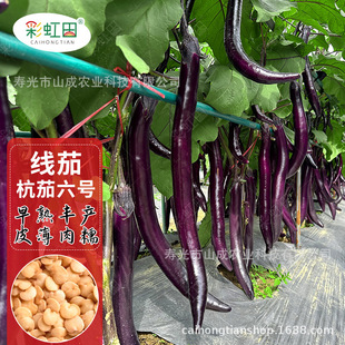 �s�����ѷN�Ӻ�����̖�L���ӷN�Ѵ����ļ������ͺ��߲���һ�����l