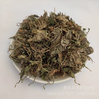 紫花地丁500g克地丁草地丁中药材地丁实物拍摄品质保证