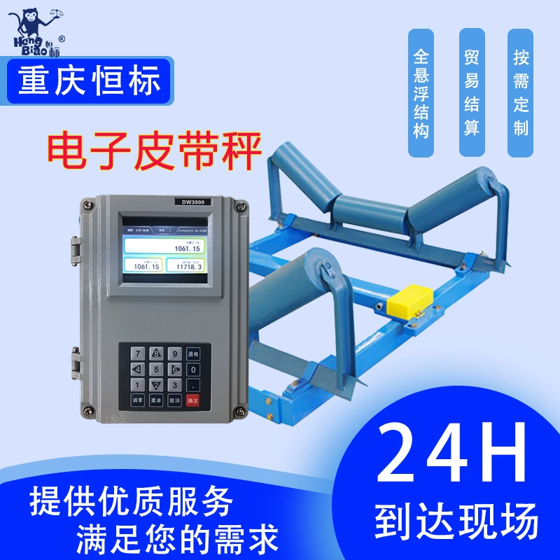 Электронные весы для транспортировки - производитель песка и гравия, шахт, портов, причалов, строительных материалов, энергетики, металлургии, дозирования и взвешивания