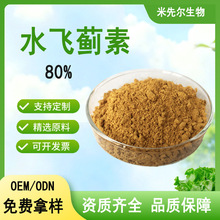 水飞蓟素 80% 奶蓟草提取物水飞蓟宾 护肝膳食补充剂原料水飞蓟