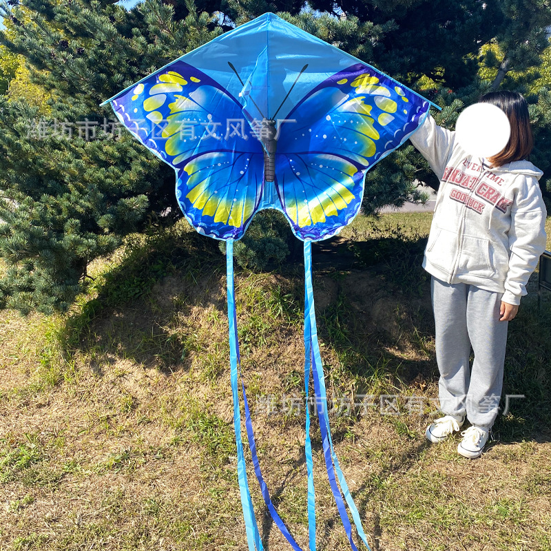 1.5 미터 블루 페어리 나비