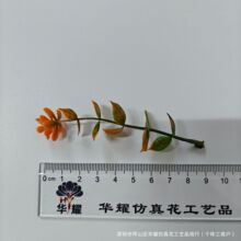 �����ȼ����軨����ֲ�������X�~õ����滨�����҃��b����