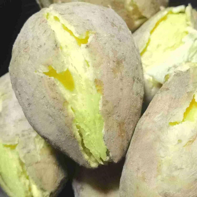 正宗潮汕现挖黄心板栗薯香甜软糯粉绿色食品农家板栗鸡蛋番薯瓜|undefined