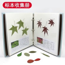 册粘贴相册材料干花式干花标本册标本覆膜压花DIY收集植物树叶