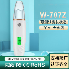 测试水分喷雾补水仪器脸部蒸脸美容冷喷家用小型便携充电式喷雾器