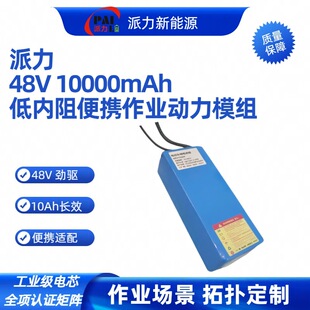派力 48V 10Ah 電動車快充適配鋰電池組